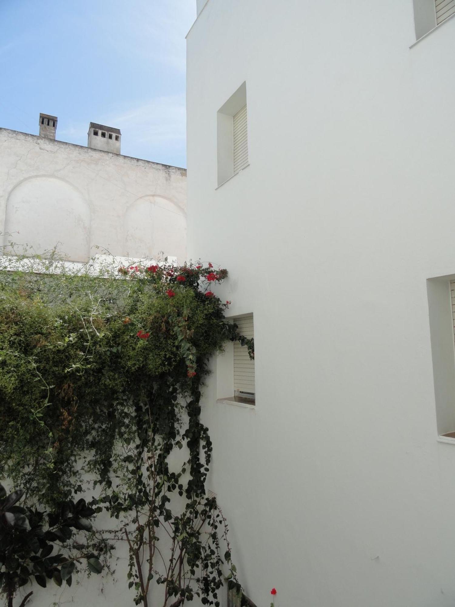 Hotel El Coloso Jerez de la Frontera Exterior foto