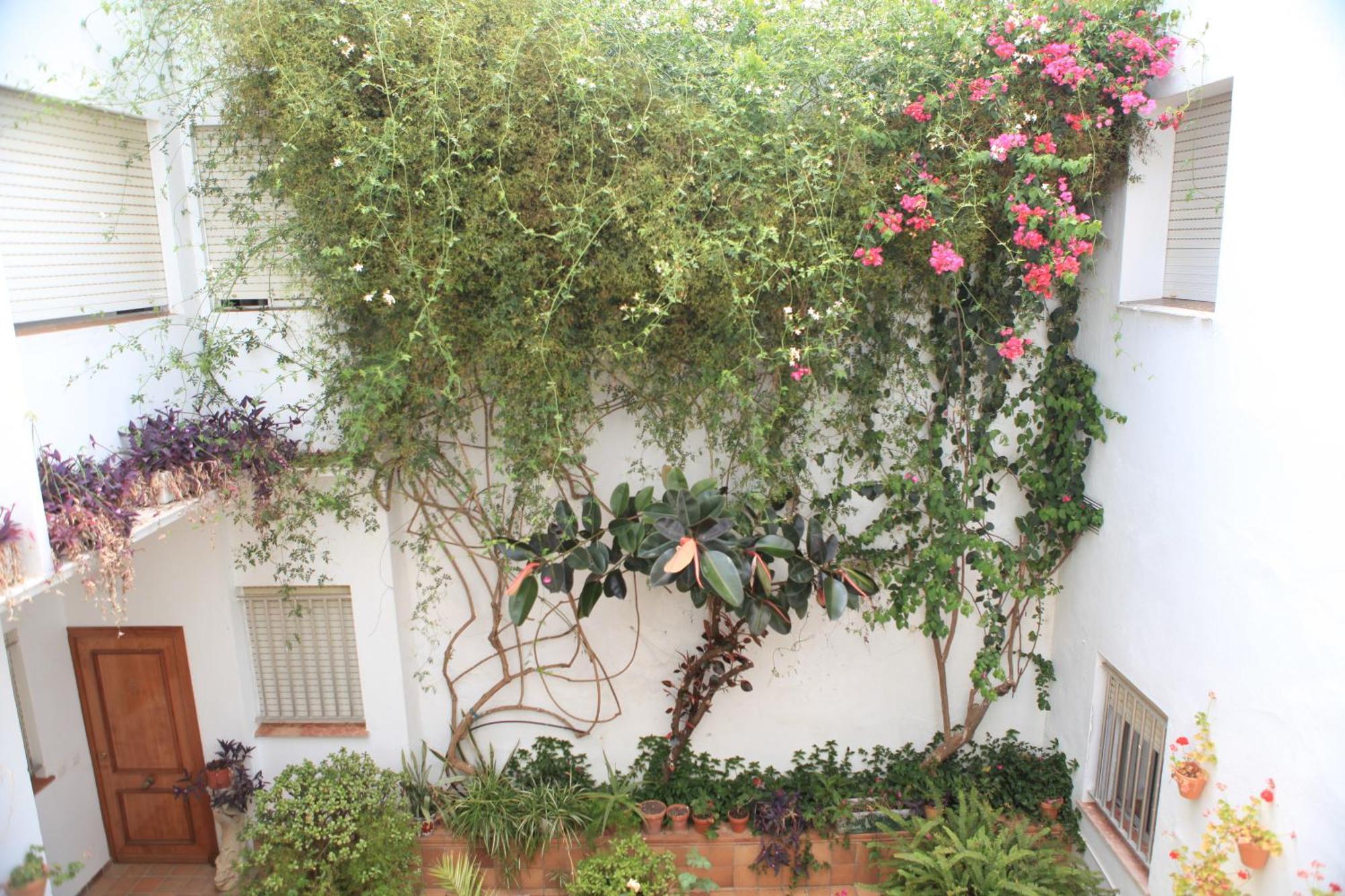 Hotel El Coloso Jerez de la Frontera Exterior foto