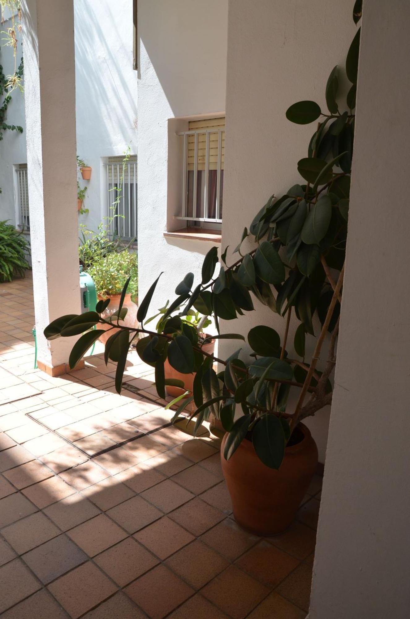 Hotel El Coloso Jerez de la Frontera Exterior foto